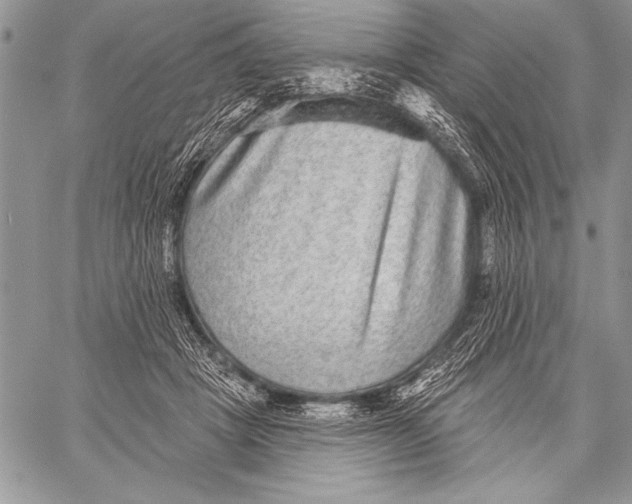 X0000058120457200510171314