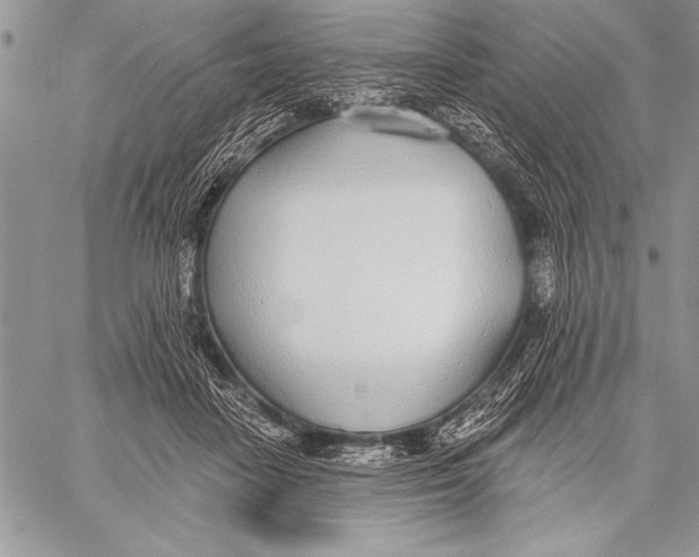 X0000058120458200510171315