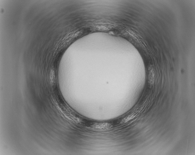 X0000058120459200510171315