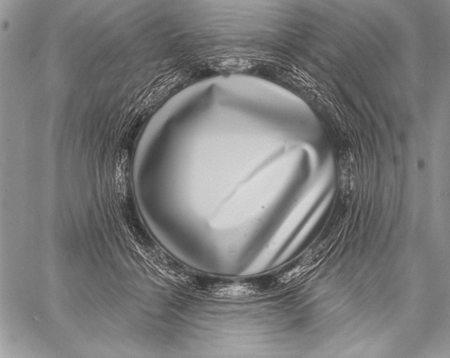 X0000058120460200510171315