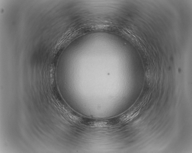 X0000058120462200510171315