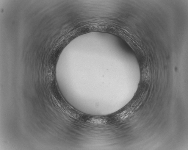 X0000058120464200510171315