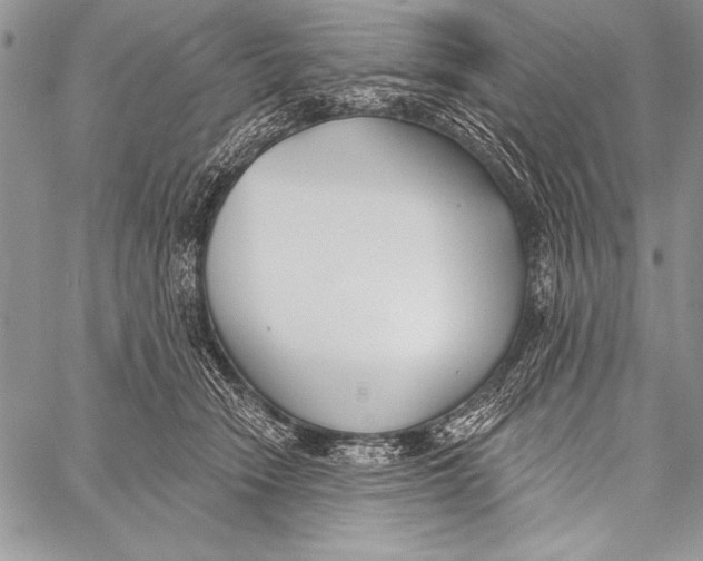 X0000058120466200510171315