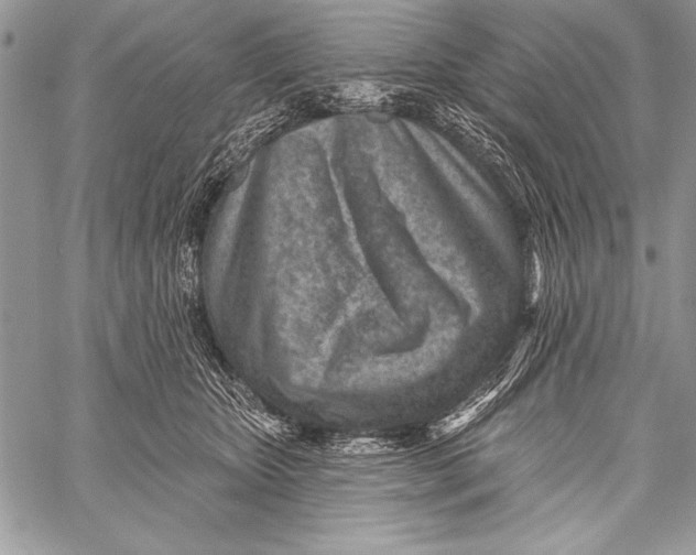 X0000058120467200510171315