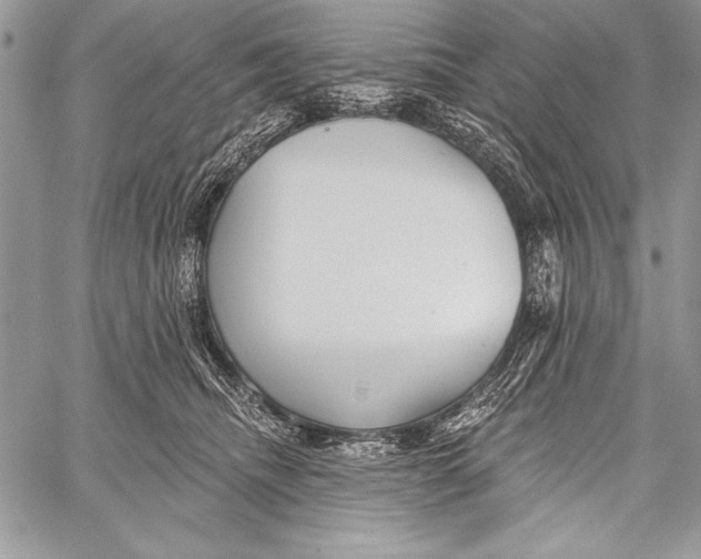 X0000058120468200510171315