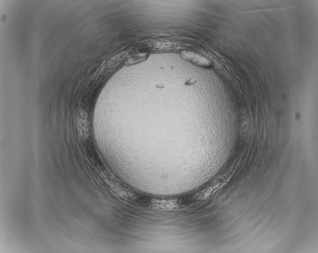 X0000058120469200510171315