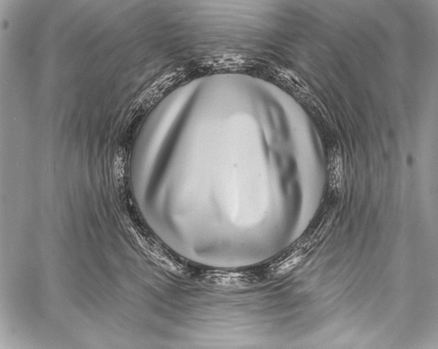 X0000058120472200510171315