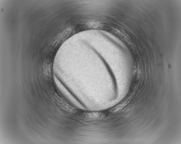 X0000058120473200510171315