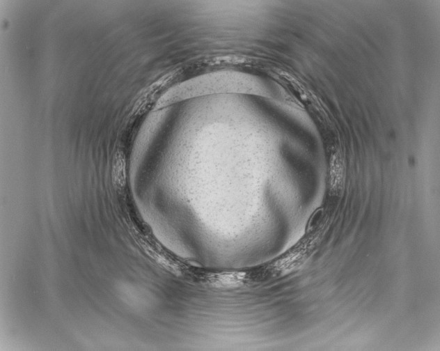 X0000058120474200510171315