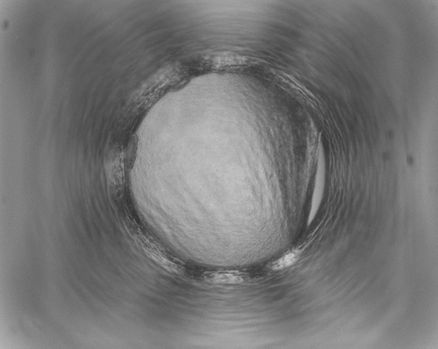 X0000058120475200510171315