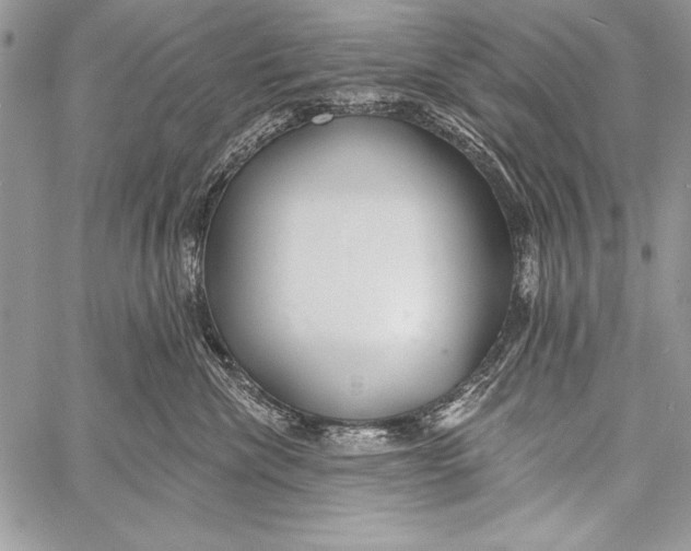 X0000058120476200510171315