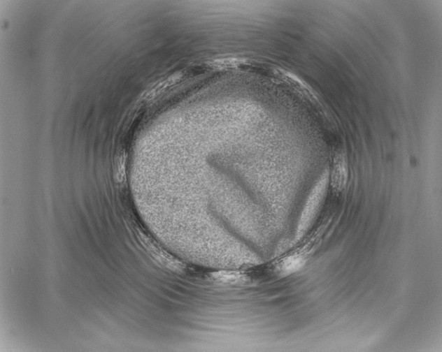 X0000058120477200510171315