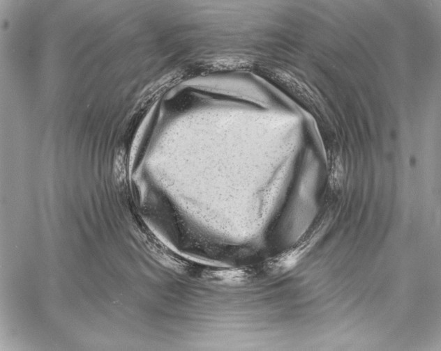 X0000058120478200510171315