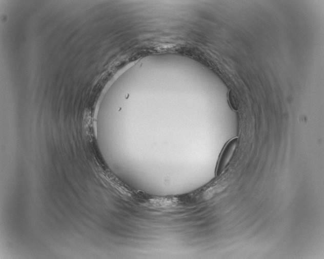 X0000058120480200510171315