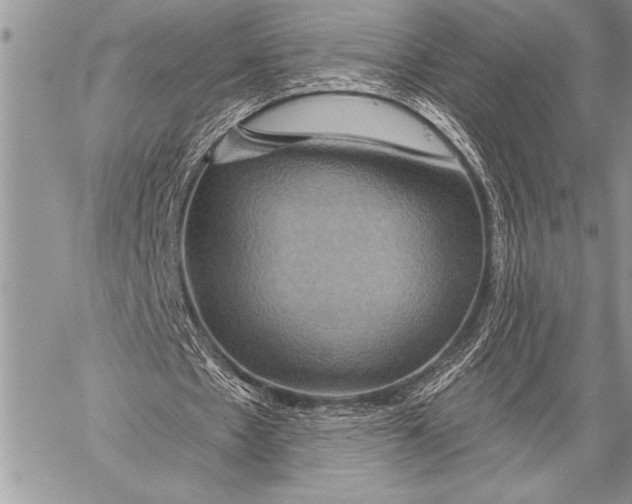 X0000058120481200510171314