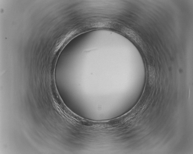 X0000058120482200510171314