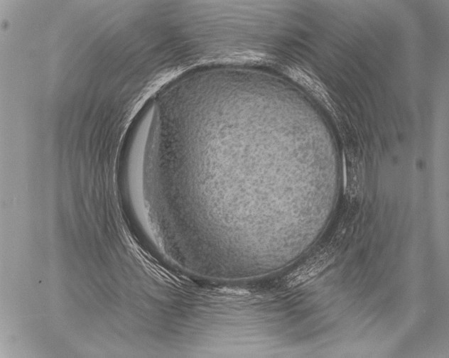 X0000058120483200510171314