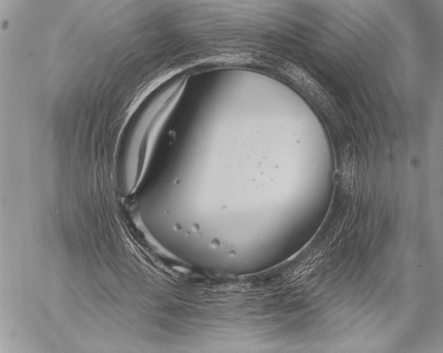 X0000058120484200510171314