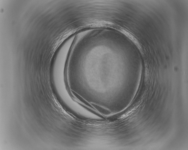 X0000058120485200510171314