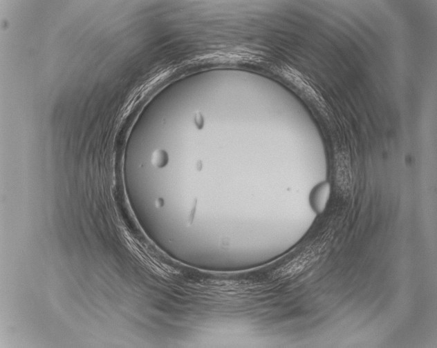 X0000058120486200510171314