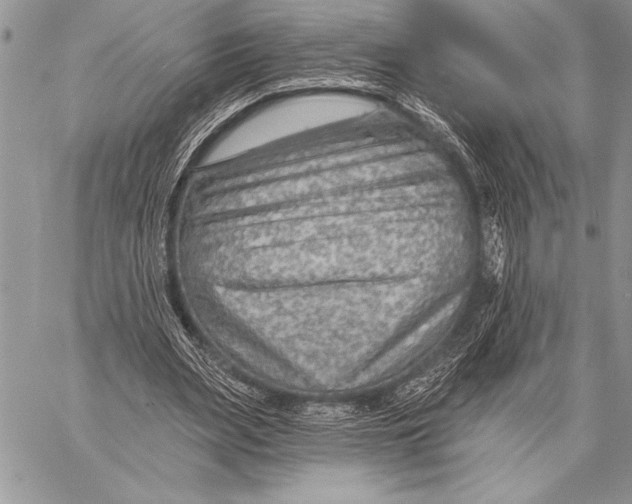 X0000058120487200510171314