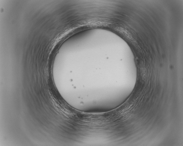 X0000058120488200510171314