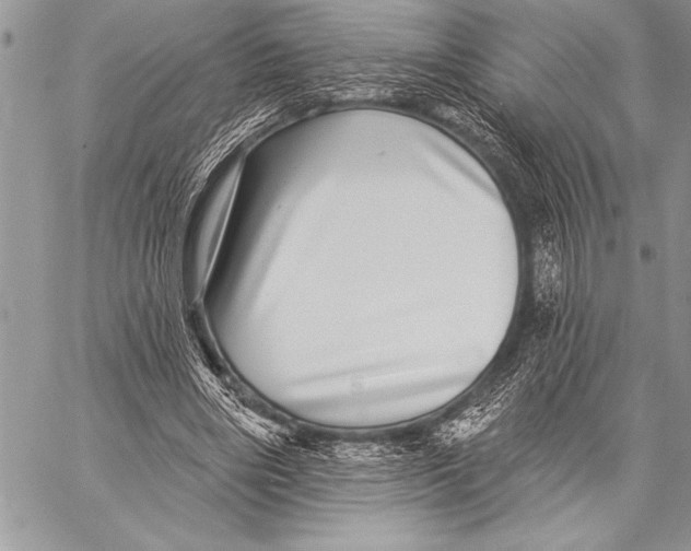 X0000058120490200510171314