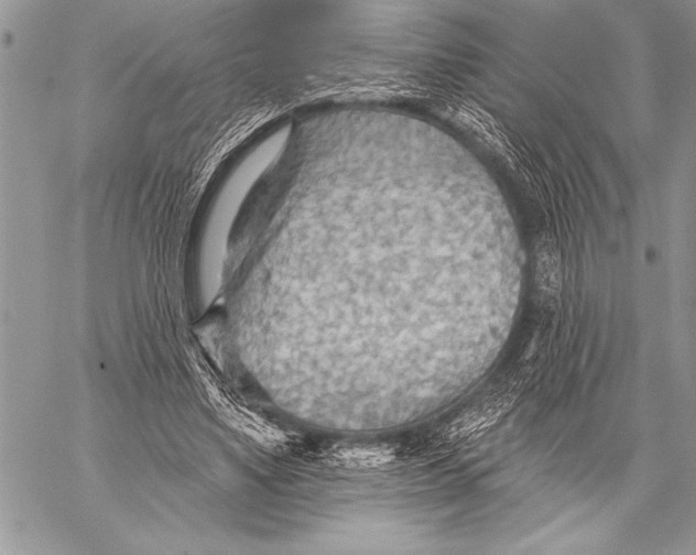 X0000058120491200510171314