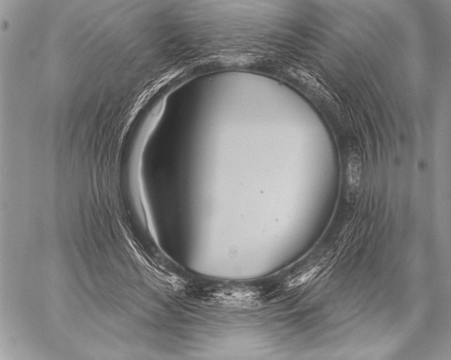 X0000058120492200510171314