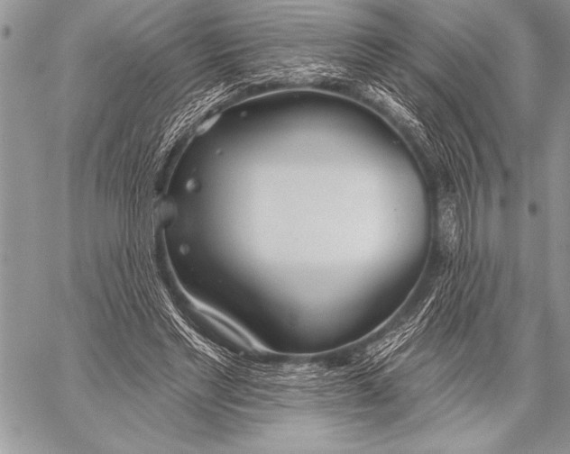 X0000058120493200510171314