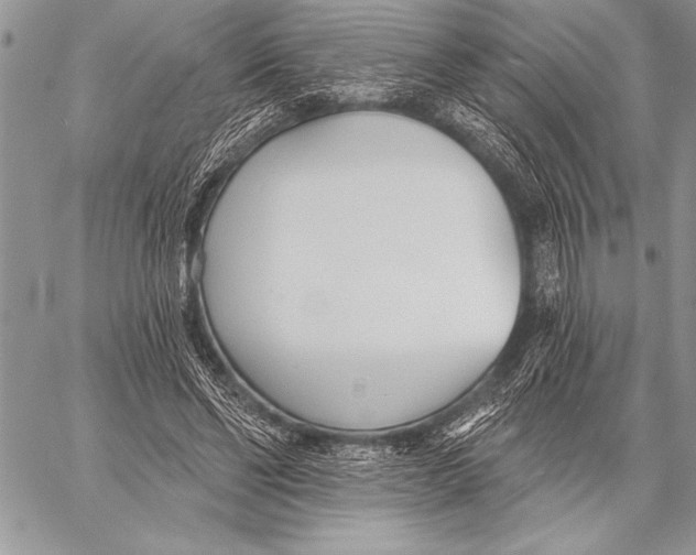 X0000058120494200510171314