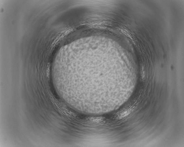 X0000058120495200510171314