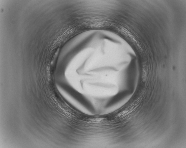 X0000058120497200510171314