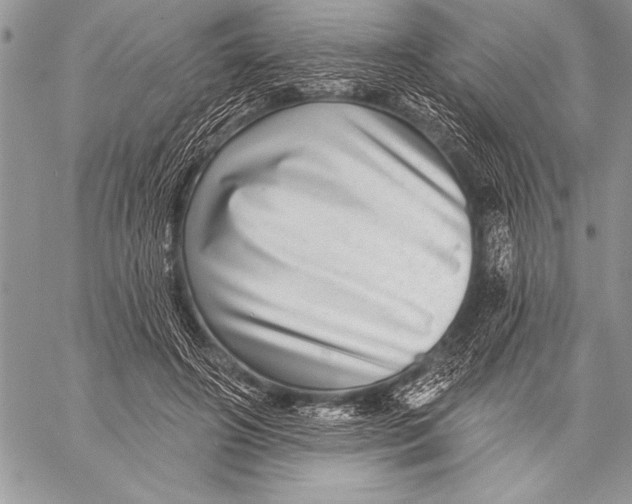 X0000058120498200510171314