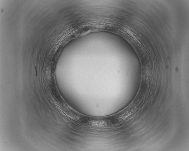 X0000058120500200510171314