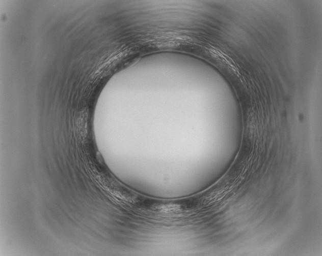 X0000058120501200510171314