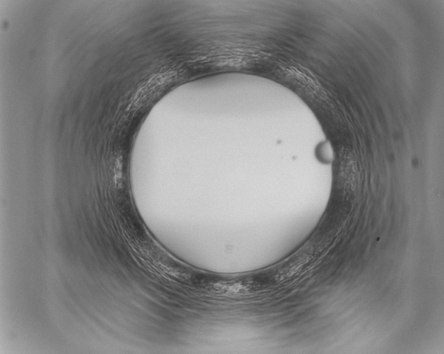 X0000058120502200510171314