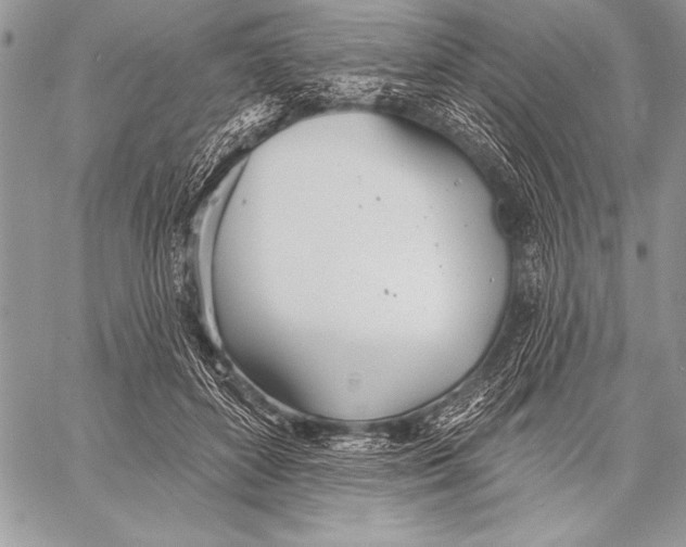 X0000058120504200510171314