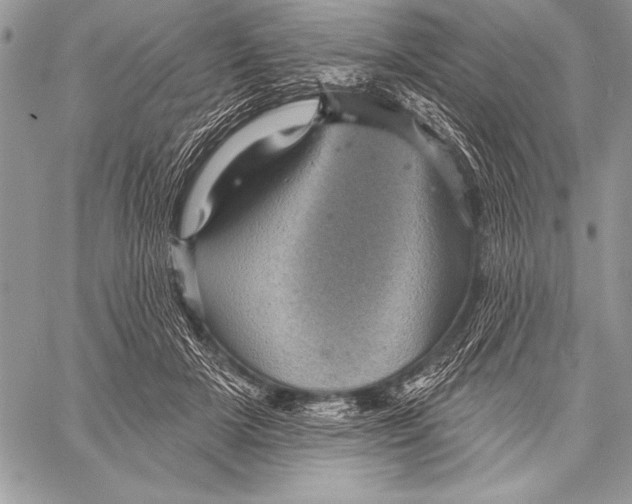 X0000058120505200510171314