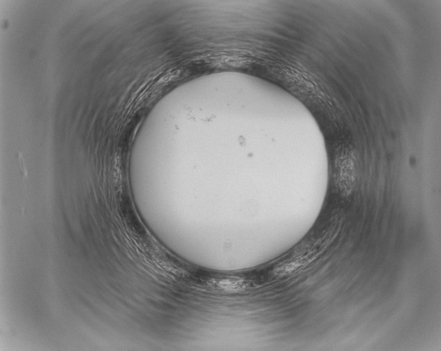 X0000058120506200510171314