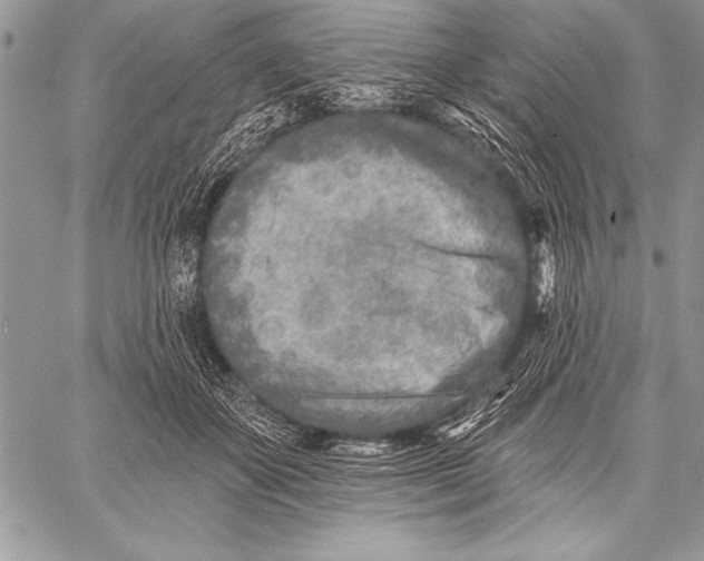 X0000058120507200510171314