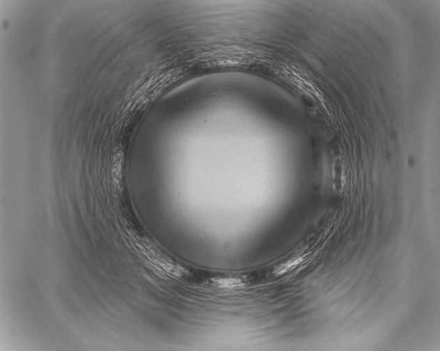 X0000058120509200510171314