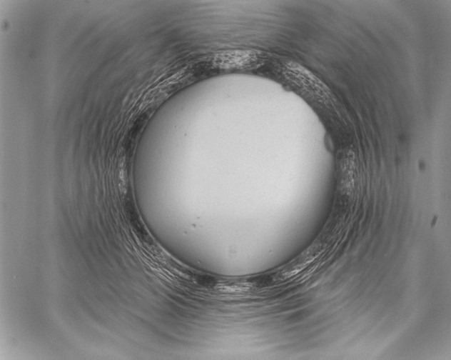 X0000058120510200510171314