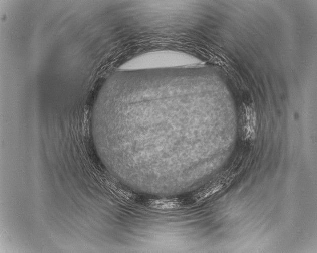 X0000058120511200510171313