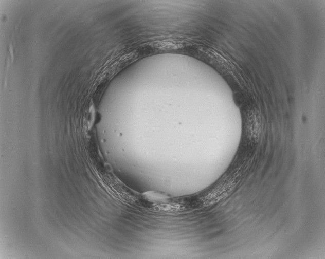 X0000058120512200510171313