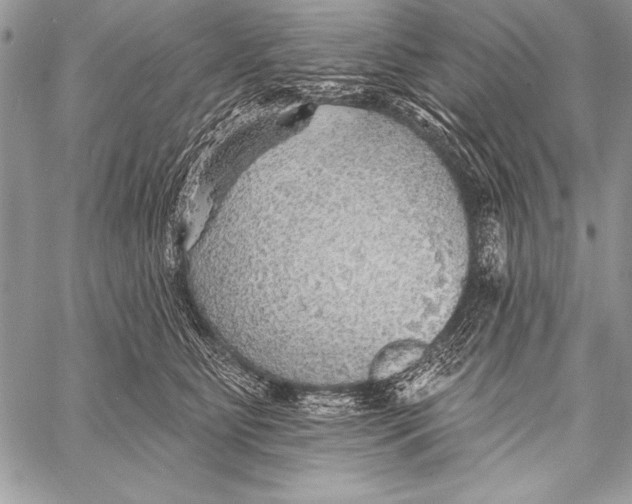 X0000058120515200510171313