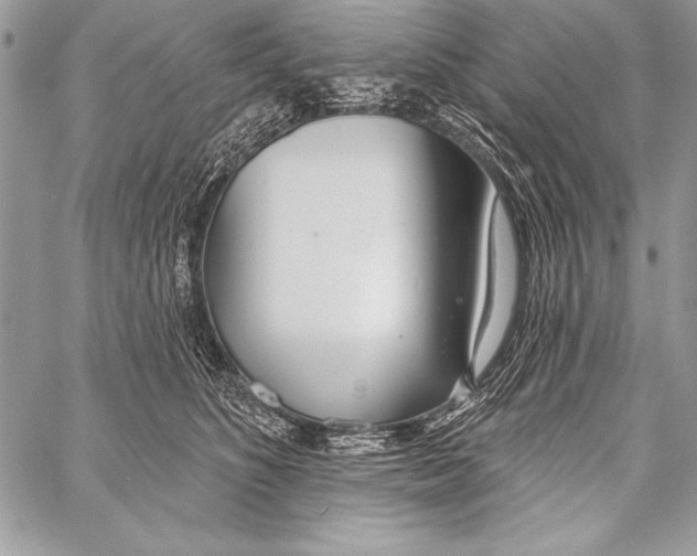 X0000058120516200510171313