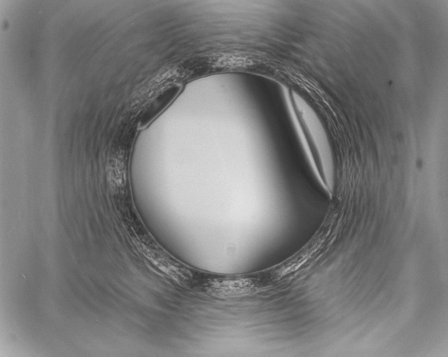 X0000058120517200510171313