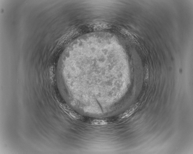 X0000058120519200510171313