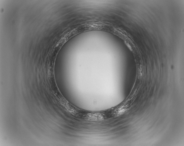 X0000058120520200510171313